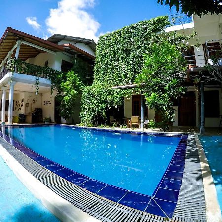 Mirissa Blue Whale Holiday Hotel Exterior photo