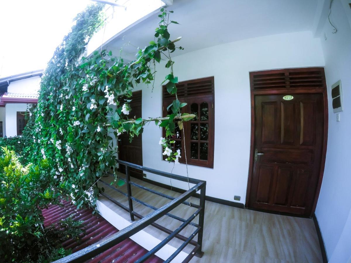 Mirissa Blue Whale Holiday Hotel Exterior photo